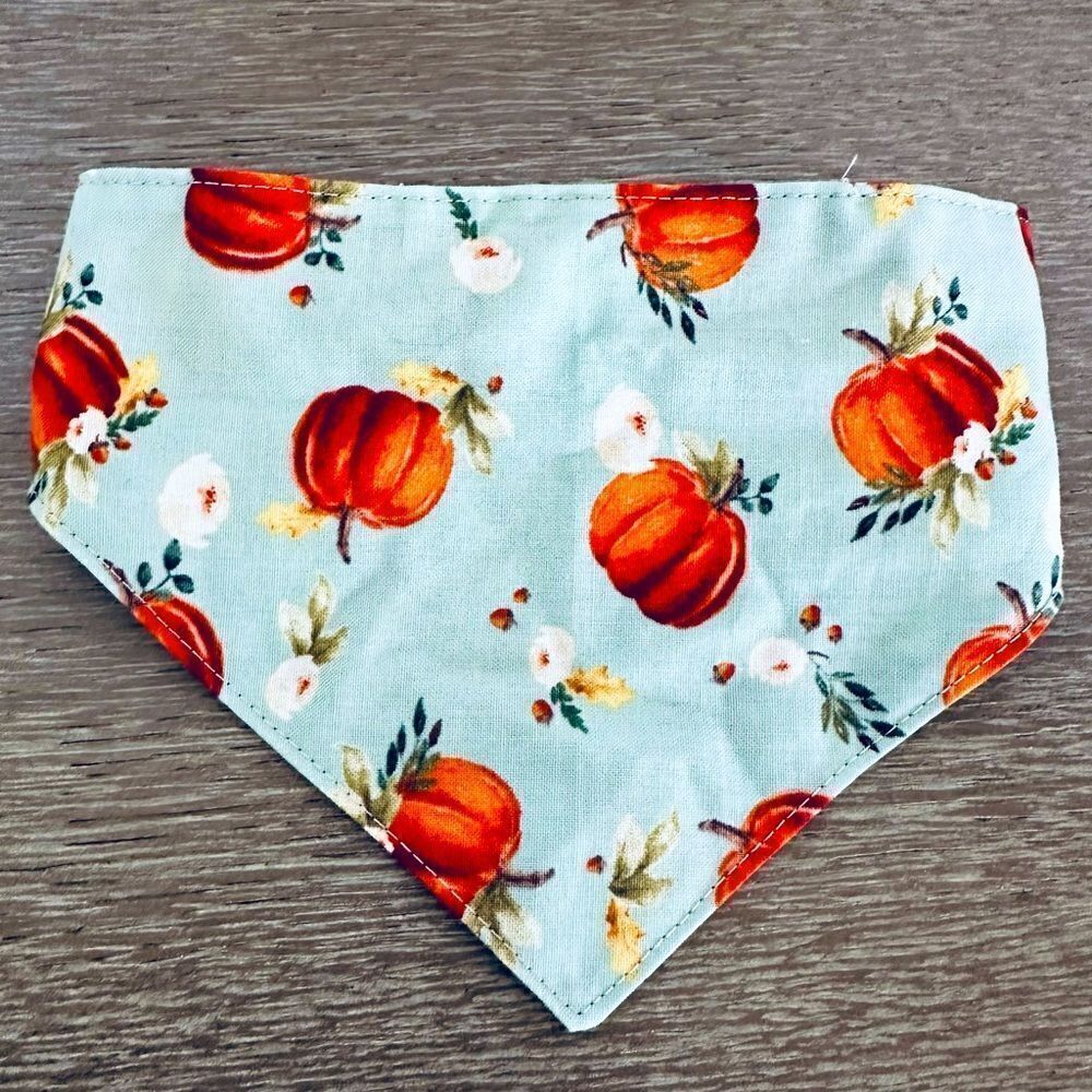 Fall Dog Floral Pumpkin Plaid Bandana Collar M